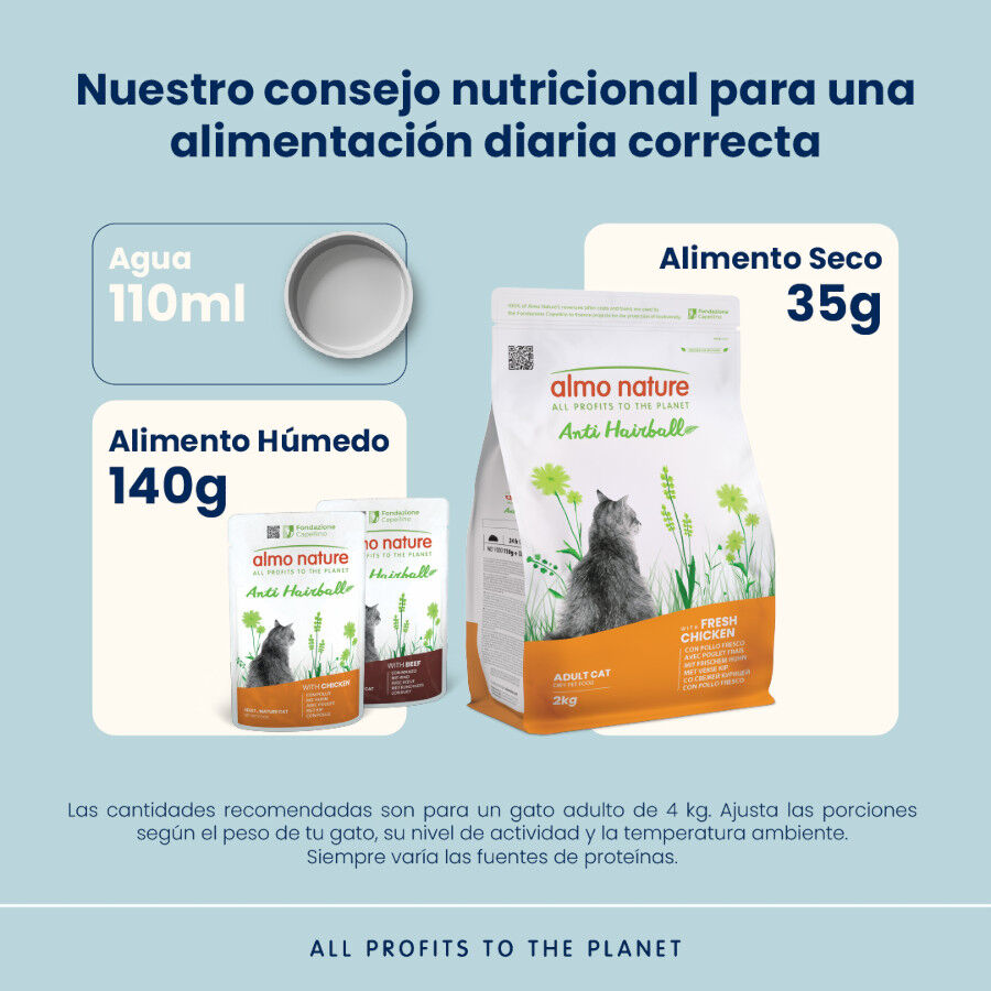 2 kg Almo Nature Anti Hairball Pollo pienso para gatos , , large Imagen numero 3